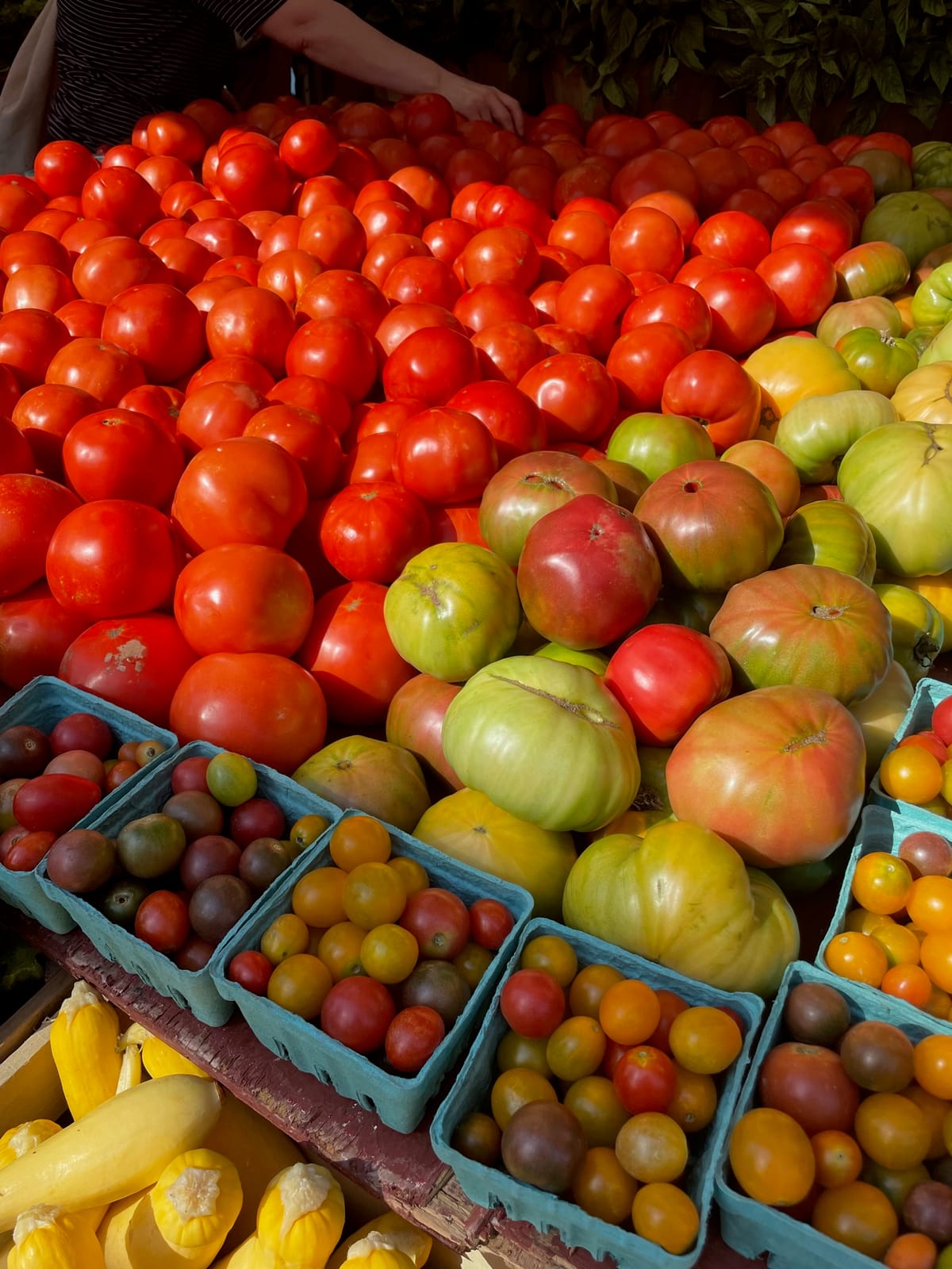 Taking advantage of tomato season