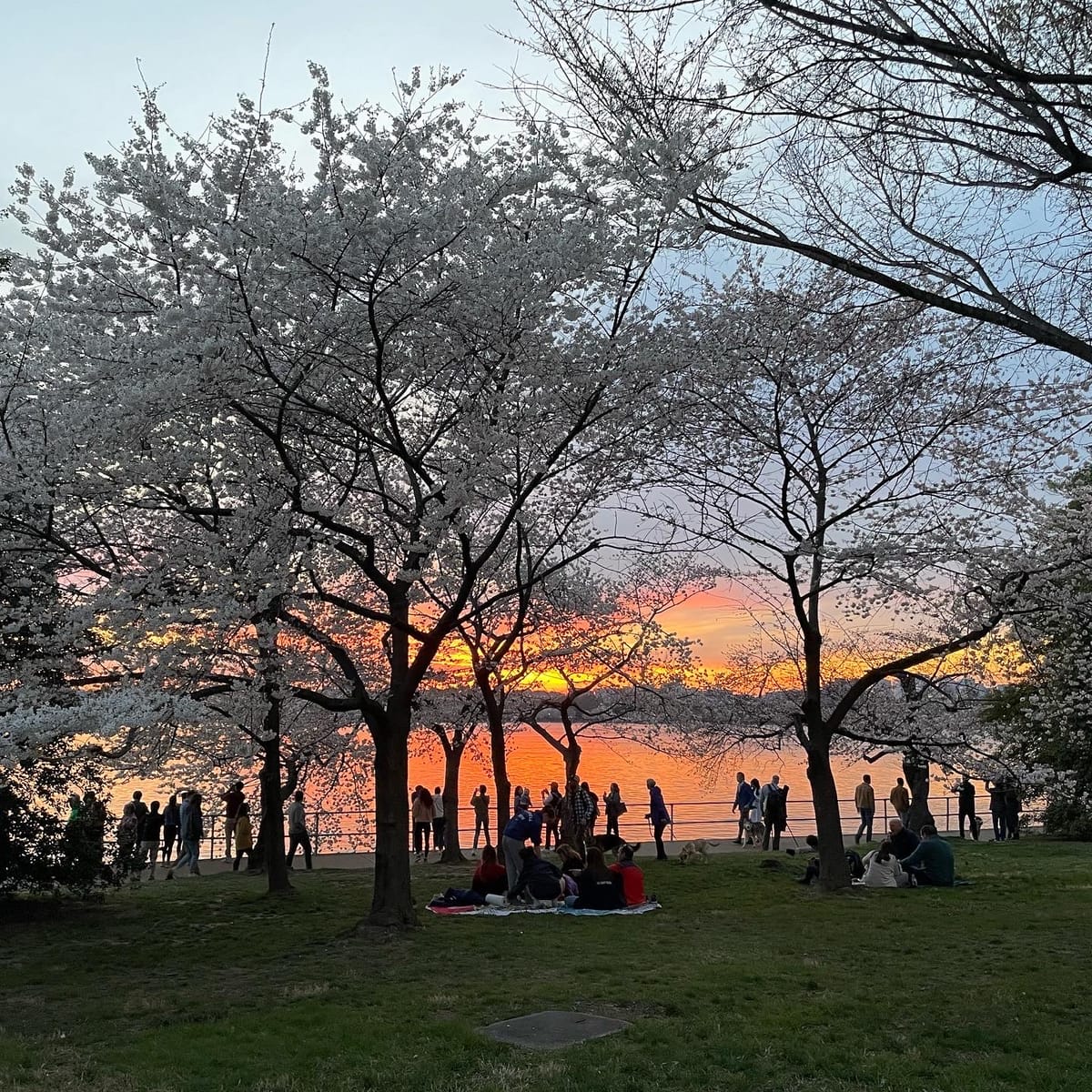 Knowing when not to drive