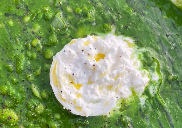 Choosing my words carefully